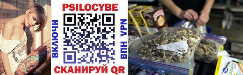 Псилоцибиновые грибы Psilocybe Солнечногорск